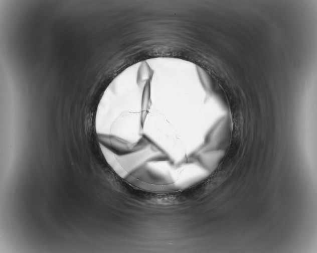 X0000086270278200704262022