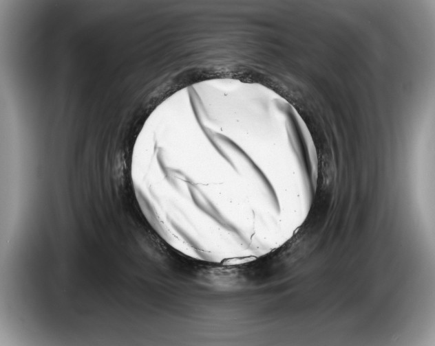 X0000086270279200704262022