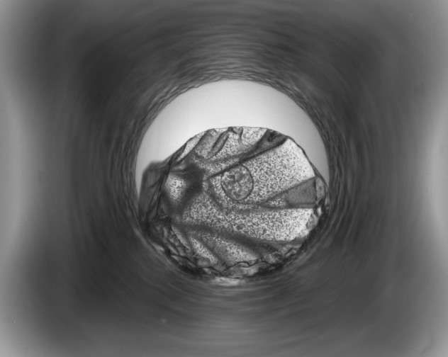 X0000086270280200704262022