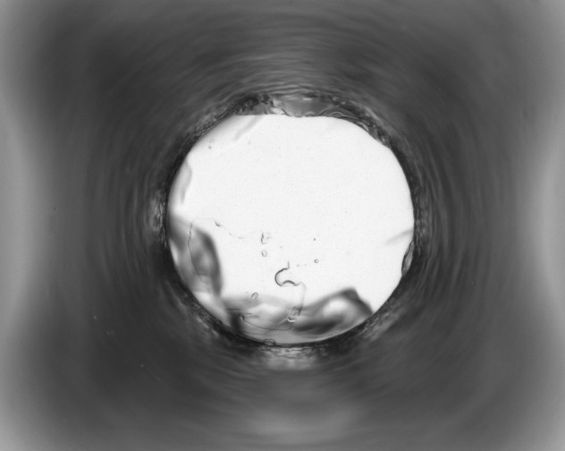 X0000086270281200704262022