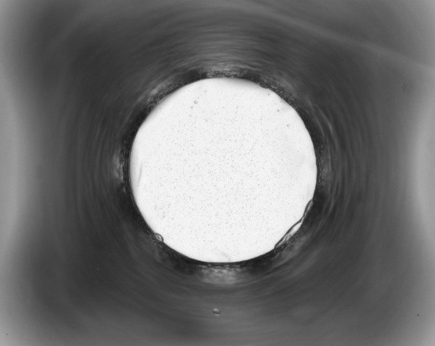 X0000086270282200704262022