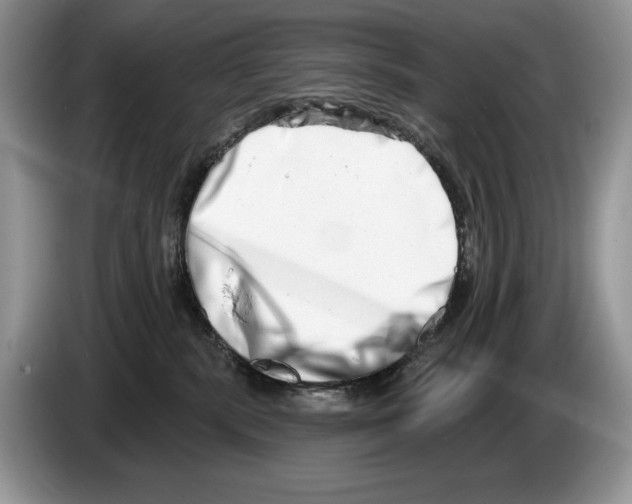 X0000086270283200704262022
