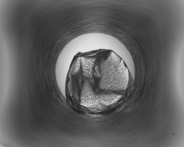 X0000086270284200704262022