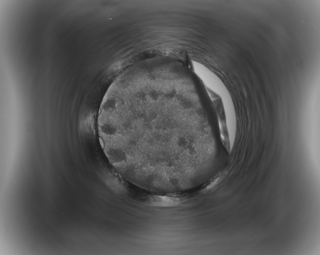 X0000086270286200704262022
