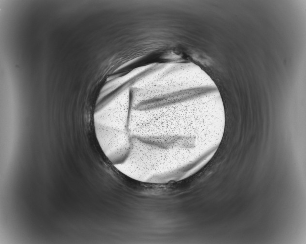 X0000086270288200704262022