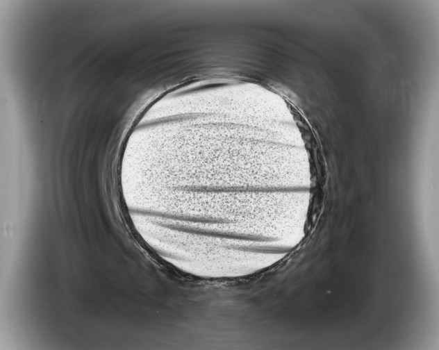 X0000086270289200704262022
