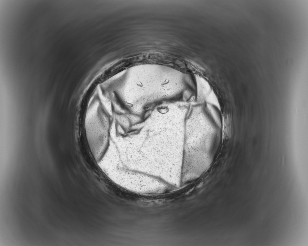 X0000086270291200704262022