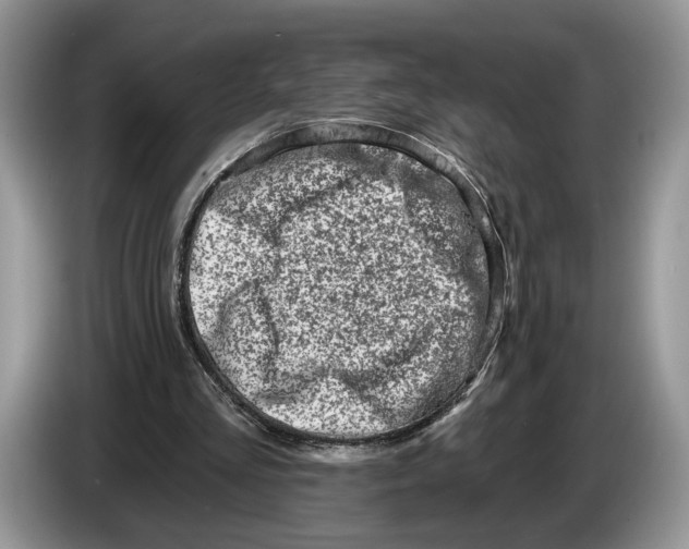 X0000086270293200704262022