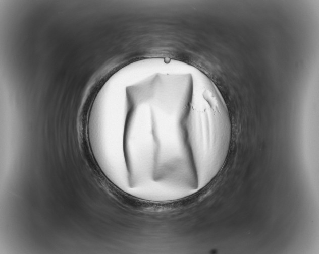 X0000086270294200704262022