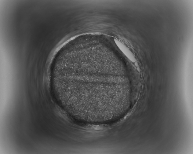 X0000086270295200704262022