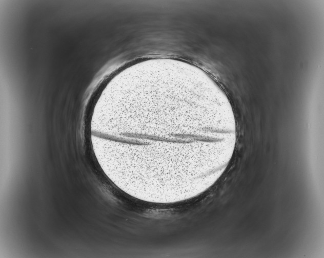 X0000086270296200704262022