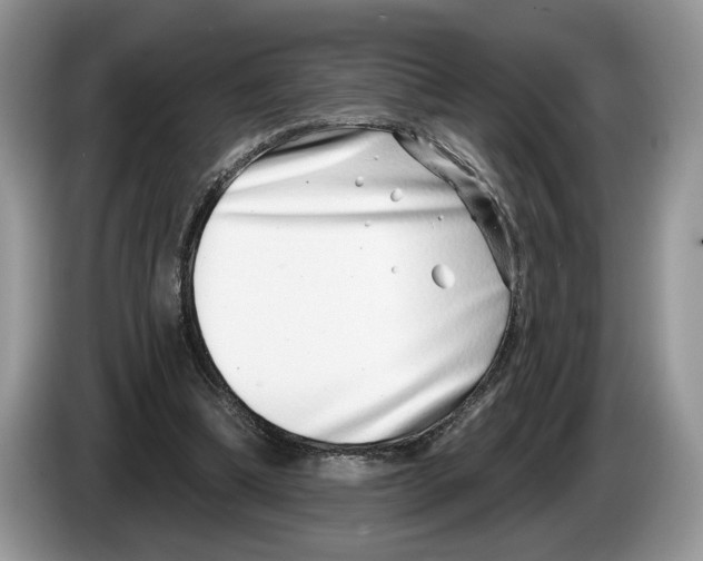 X0000086270298200704262022