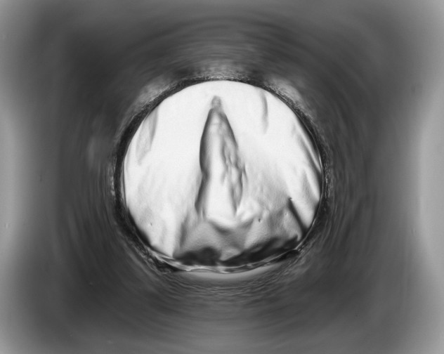 X0000086270299200704262022