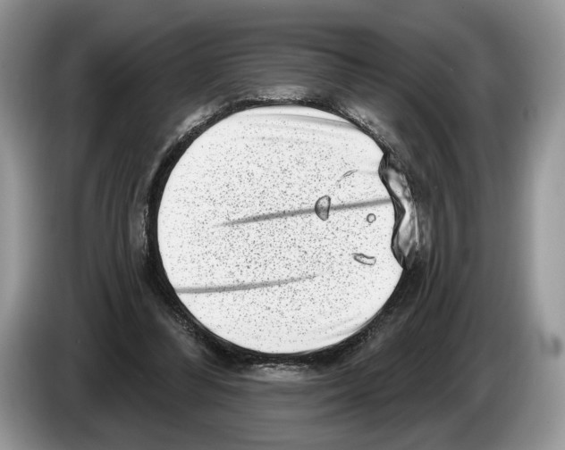 X0000086270300200704262022