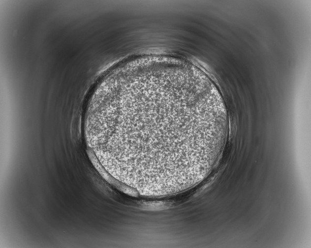 X0000086270301200704262022