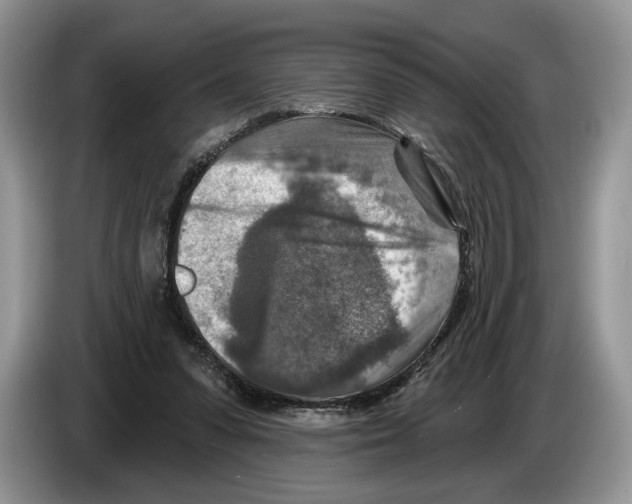X0000086270303200704262022