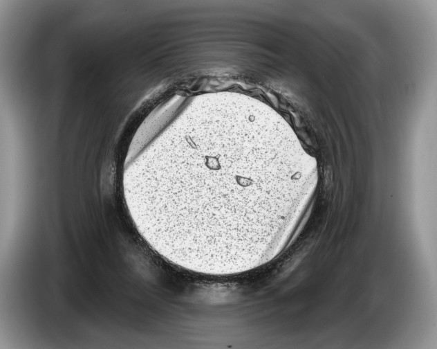 X0000086270304200704262022