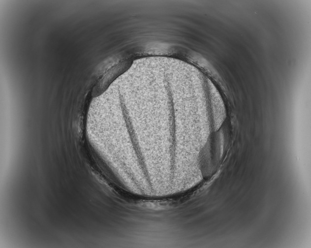 X0000086270305200704262021
