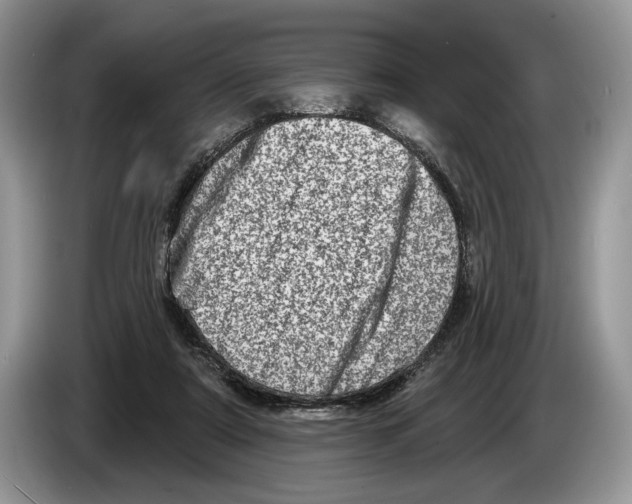 X0000086270307200704262021