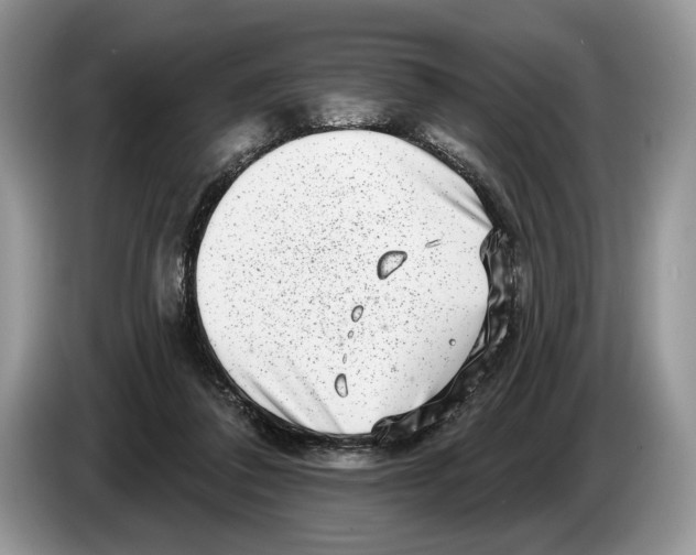 X0000086270308200704262021