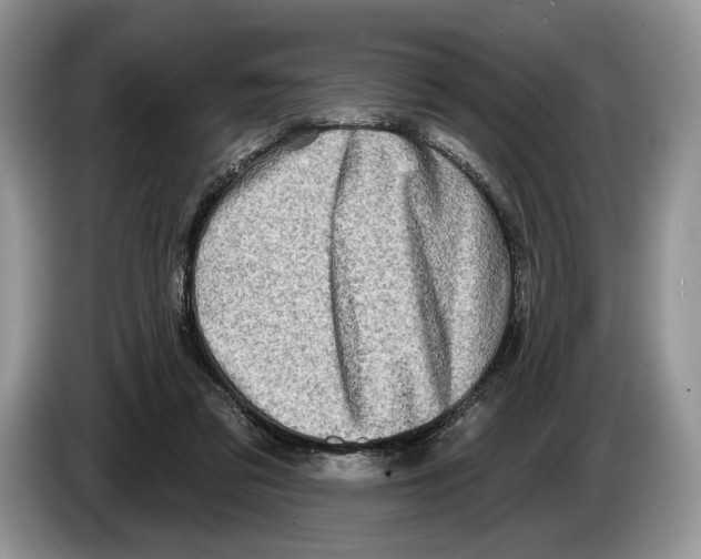 X0000086270309200704262021
