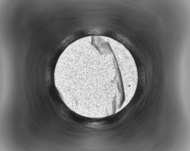 X0000086270312200704262021