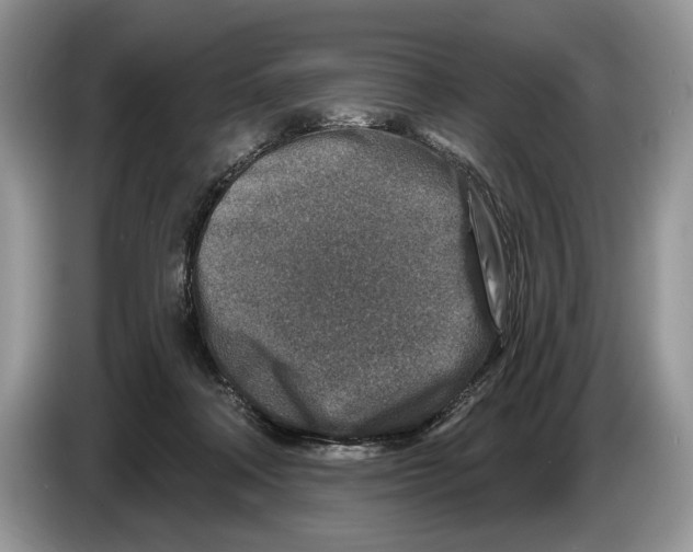 X0000086270314200704262021