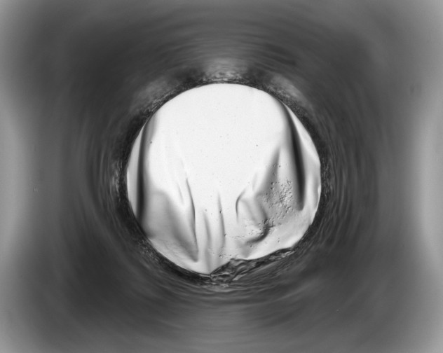 X0000086270315200704262021