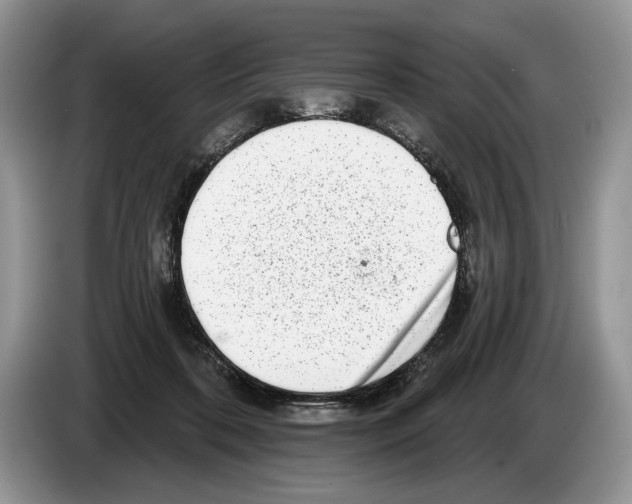 X0000086270316200704262021
