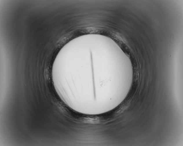 X0000086270317200704262021