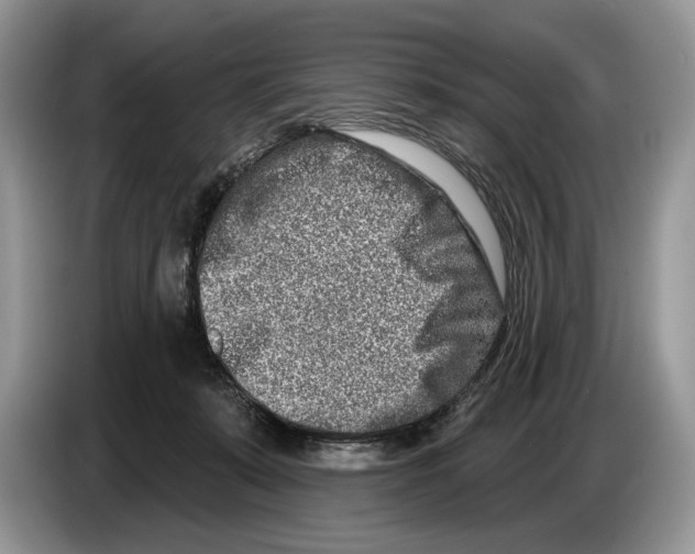 X0000086270319200704262021
