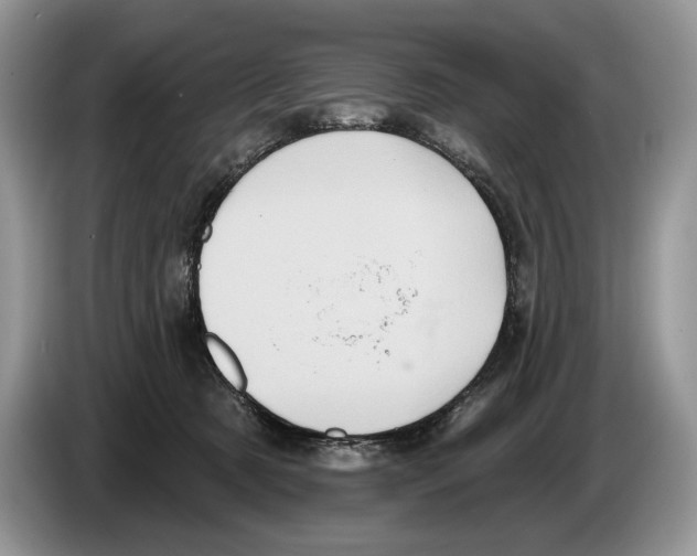 X0000086270321200704262021