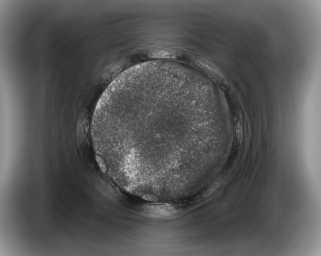X0000086270322200704262021