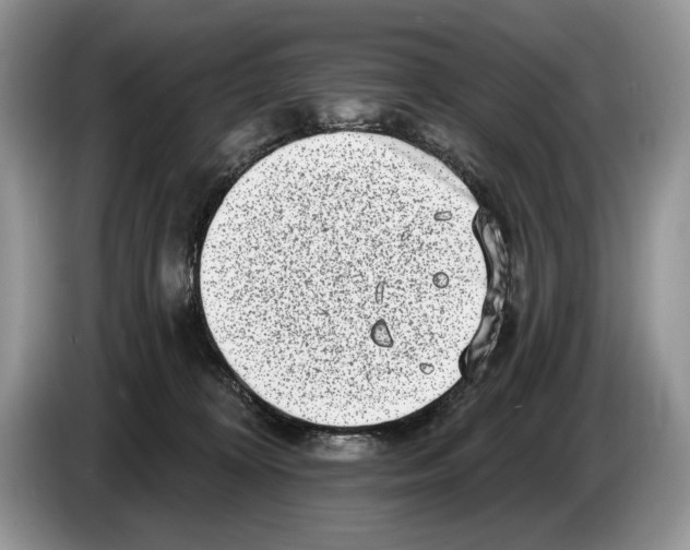 X0000086270324200704262021