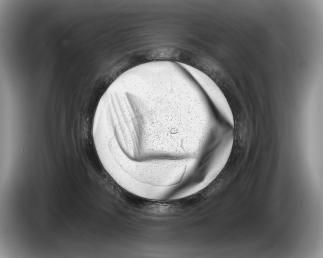 X0000086270326200704262021