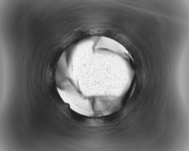 X0000086270327200704262021