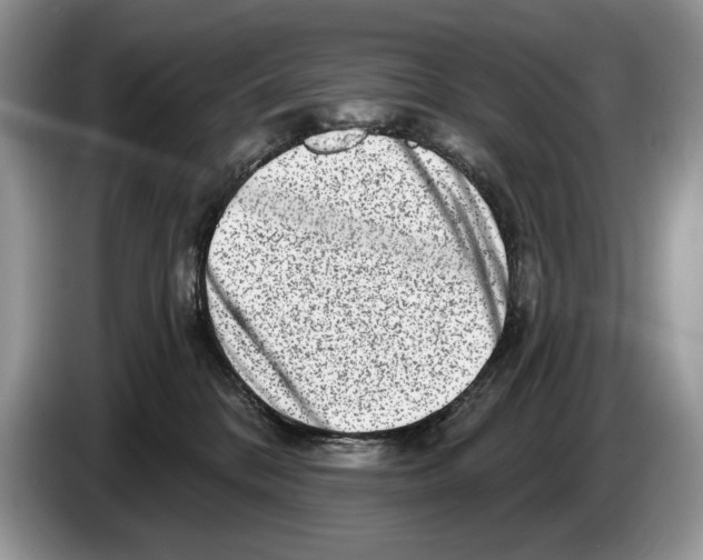 X0000086270328200704262021