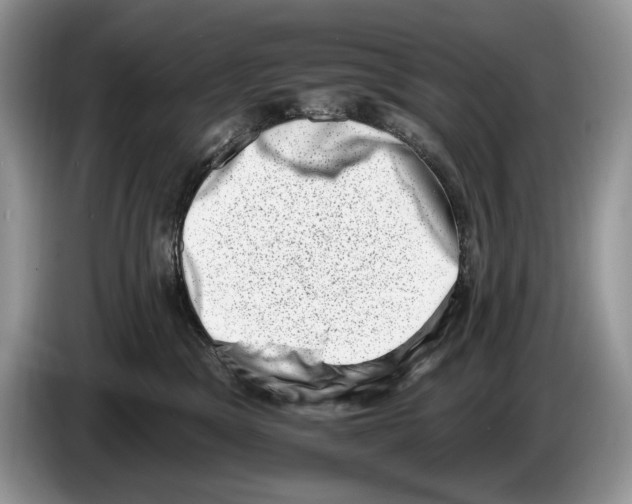 X0000086270329200704262021