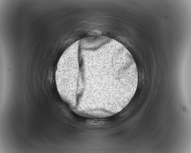 X0000086270331200704262021