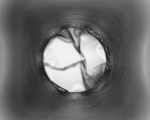 X0000086270333200704262021