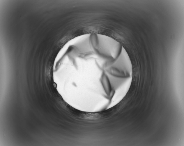 X0000086270334200704262021