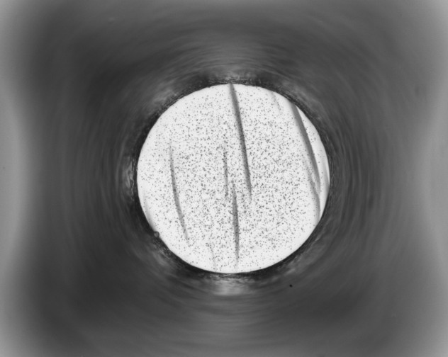 X0000086270336200704262021