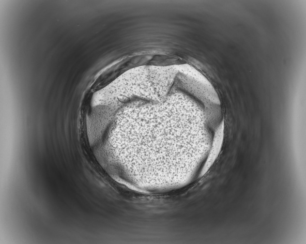 X0000086270338200704262020