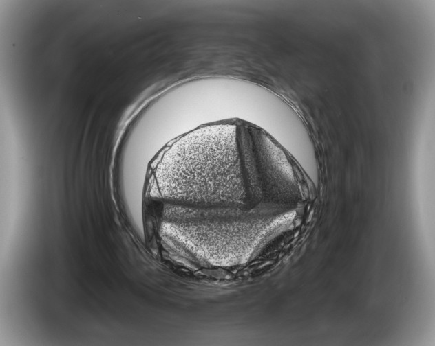 X0000086270340200704262021