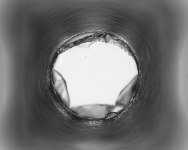 X0000086270345200704262021