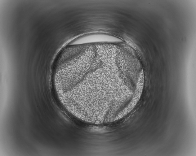 X0000086270346200704262021