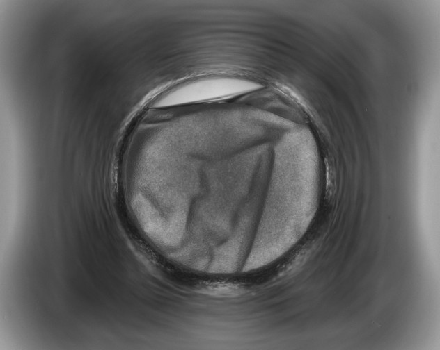 X0000086270348200704262021