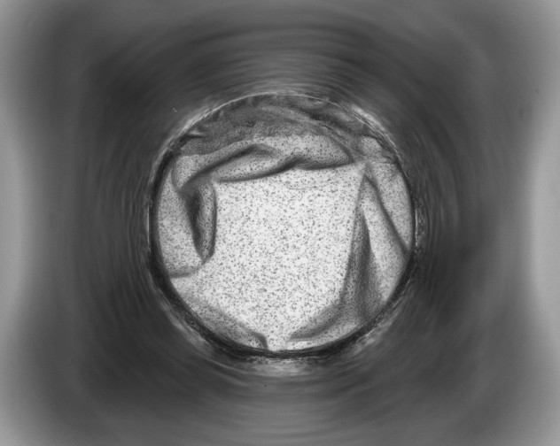 X0000086270349200704262021
