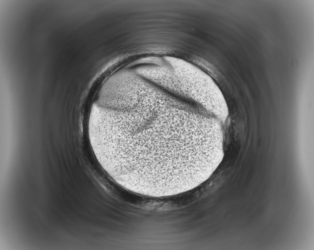 X0000086270350200704262021