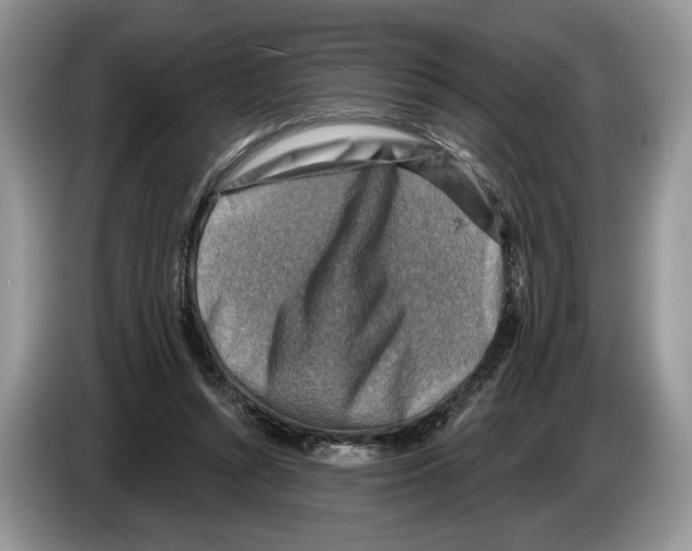 X0000086270352200704262021